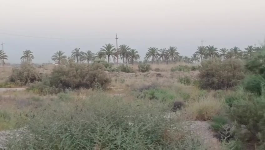 بستان وجهين زنجيل
#بستان_للبيع المساحة 2.5 دونم  طابو زراعي سند 25
المكان بغداد المحمودية ابو شمع يبعد عن الحولي 500 متر فقط

الوجه 45 متر نزال تقريبا 150 متر

المنطقة ،📍 شوارع تبليط مخدومة ماء حلو اسالة ماء سقي. بئر ماء حلو

محولة كهرباء 4 مدارس مجاورة محطين للوقود

مركز صحي + سوق

الأرض تحوي 50 نخلة

للأستفسار اكثر الاتصال على *********** وات ساب

السعر 110 مليون للدونم الواحد السعر بلاش جوة السوك
الموقع📍
https://waze.com/ul/hsvzs09gs6#بستان_للبيع
#بستان_للبيع_بغداد
#المحمودية
#ابو_شمع
#عقارات_بغداد
#عقارات_العراق
#اراضي_زراعية
#ارض_زراعية_للبيع
#استثمار_عقاري
#نخيل
#بساتين
#بغداد
#المحمودية_بغداد
#طابو_زراعي
#فرصة_استثمارية
