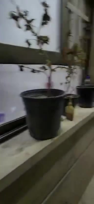 للايجار
