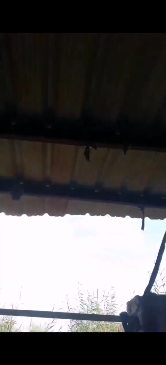 سقيفه • ٩في٤ • قويه