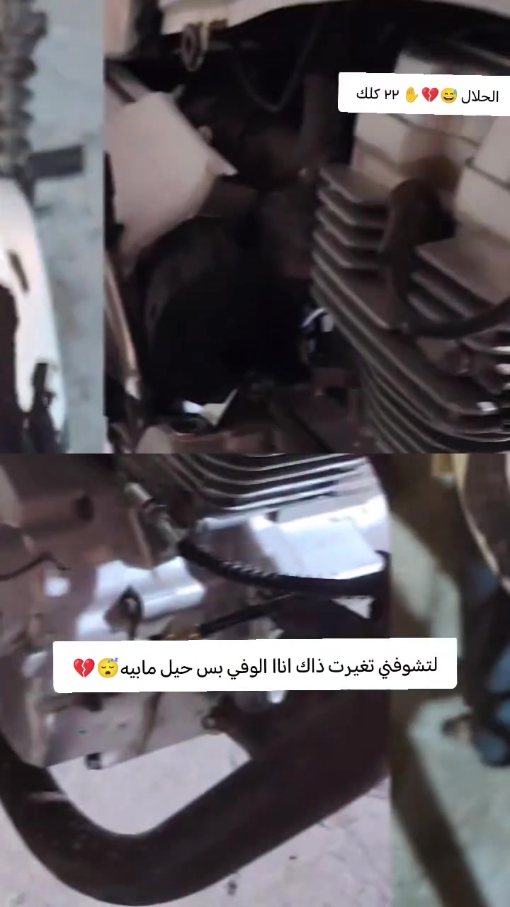 كلك • مكفوله • ٢٠٢٢