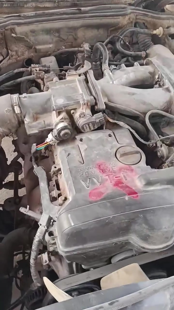مرسيدس • ٢٢ ورقه • دب