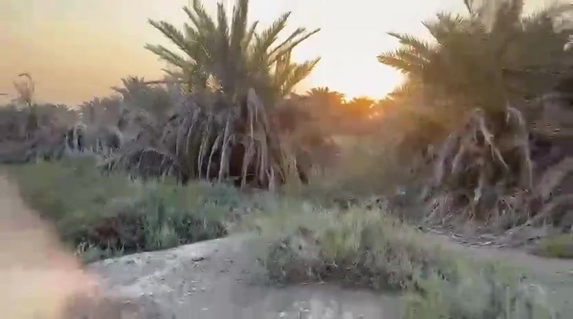 بستان زراعي للبيع مساحه دونم ونص واجه 75
نزال 50 ناحيه سديناويه قرب مكتب الغازا السعر 80مليون ***********
