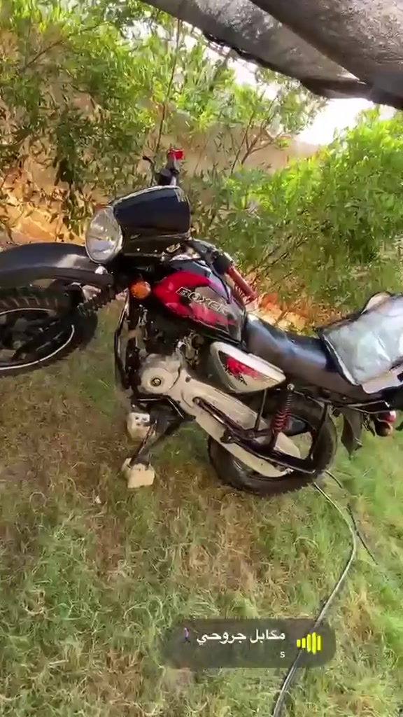 بوكسر جبلي • اوراق ضايعه • نضافه