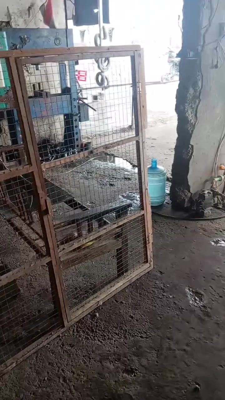 طيور • عصافير • الزعفرانية
