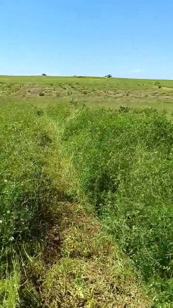 🚜✂️
متوفر قص وتنظيف الأعشاب والحشائش بالحاشوشة / الحصادة
شغل مرتب وسريع للمزارع والأراضي والحدائق 🌱

✔️ قص الأعشاب اليابسة والخضراء
✔️ تنظيف الأراضي والبساتين
✔️ شغل سريع ودقة بالعمل

📞 للتواصل: ***********

⚠️ ملاحظة: الحاشوشة ليست للبيع ولا للإيجار
