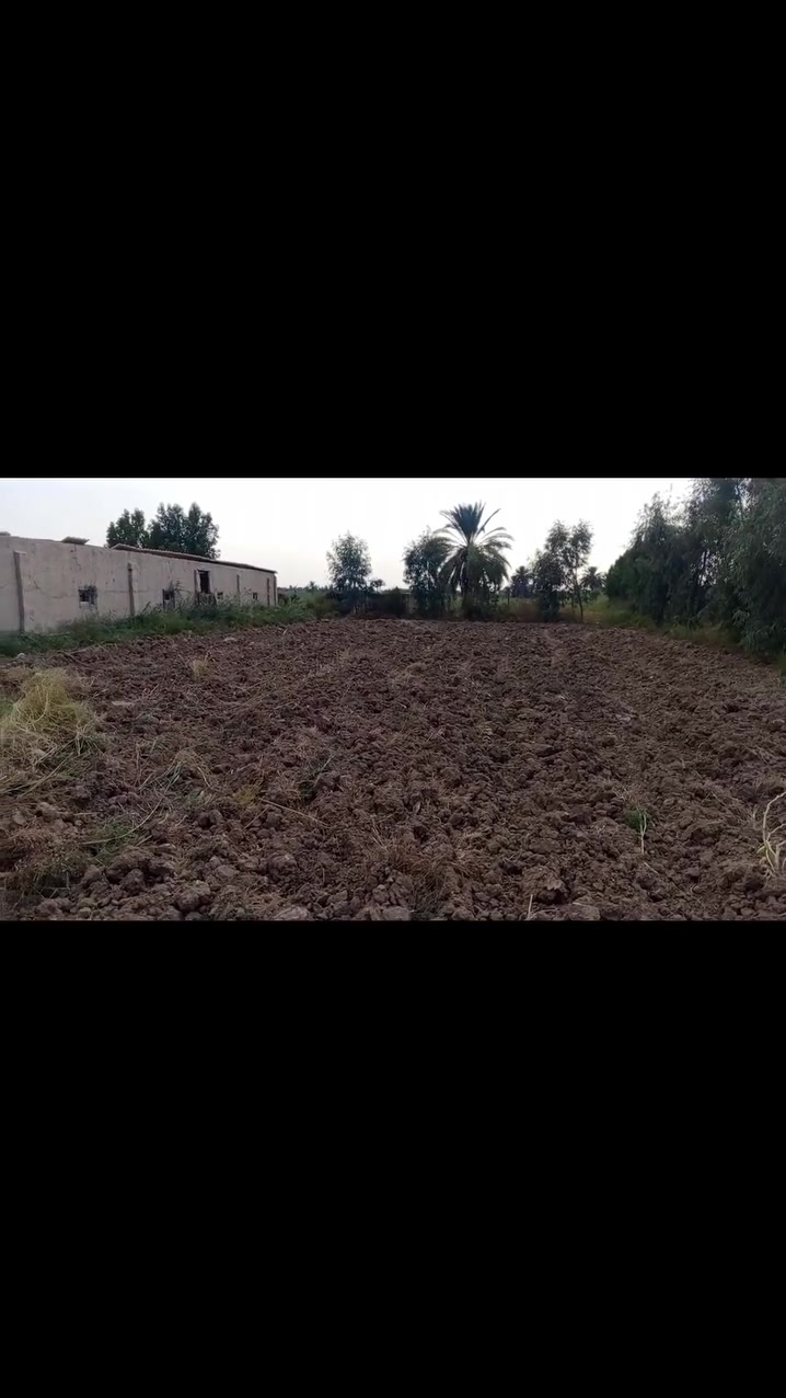 دونم • حقل • الجسر الفرنسي
