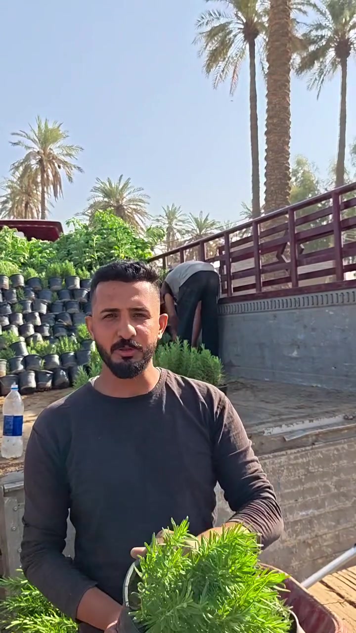 ادعم بلدك ولو بشجره
