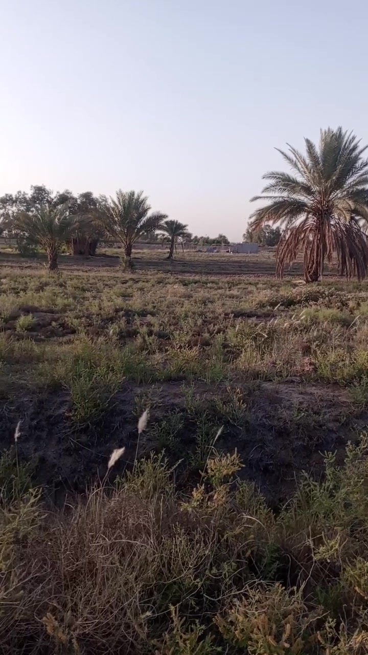 السلام عليكم بسبب الوعود الكاذبة ارض زراعية مساحة 540 متر مربع مع محرم مساحة 18 متر  سند 25 باسمي تتحول باسم المشتري مباشرة وعلى طابو المحمودية  على حولي المحمودية طريق السيد عبدالله خلف البنزين خانة الجديدة وكما موضح بالمنشور السعر 27 مليون وبيها مجال للاستفسار الاتصال على الرقم ***********
