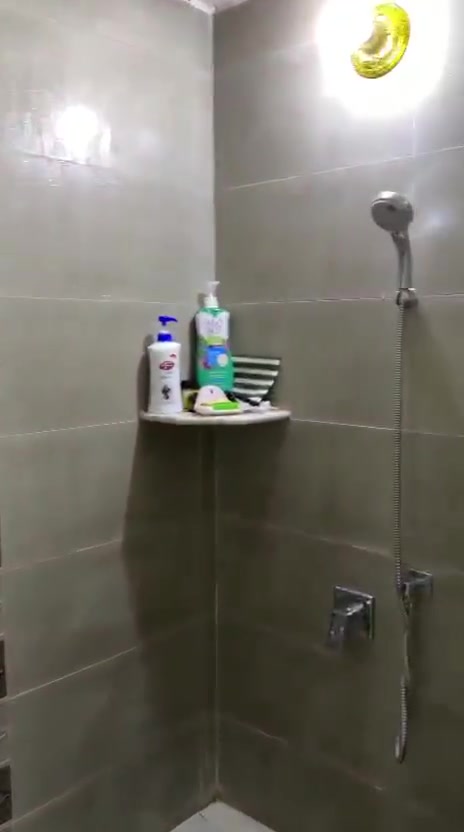الشطيطه • ١٥٤م • طابو صرف