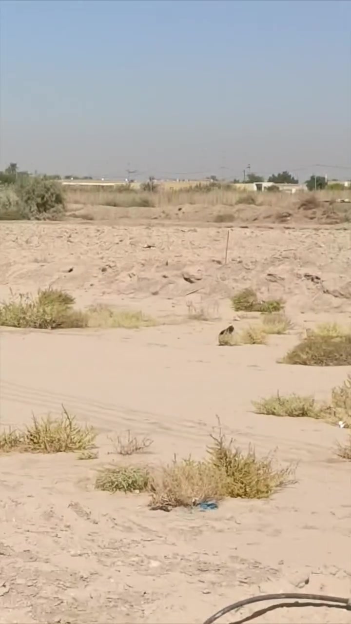 سلام عليكم قطعه زراعي البيع مساحته 200 متر بحي السكان مجمع الحسن السكني وره سكه القطار جرين عله شارع العام ويتوفر جميع الخدمات ماي وكهرباء  وسعره مناسب رقم...***********
