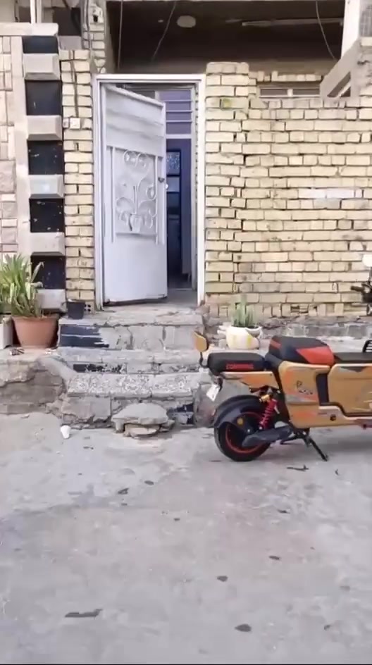 بيت للبيع طابقين ٣ غرف نوم مع استقبال وحولي البيت سند 25 طابو زراعي خلف حسينية الثقلين شارع ٣٣ البيت نظيف وجاهز ارتفاعه عن الشارع ٣ بيات الاتصال على الرقم ***********
