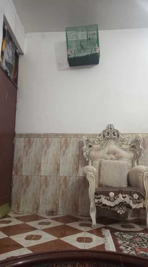 متاح طور بطل تجي تسمع وتاخذ مكاني بل رئاسه توصيل موجود رمشلي اخابرك
***********
