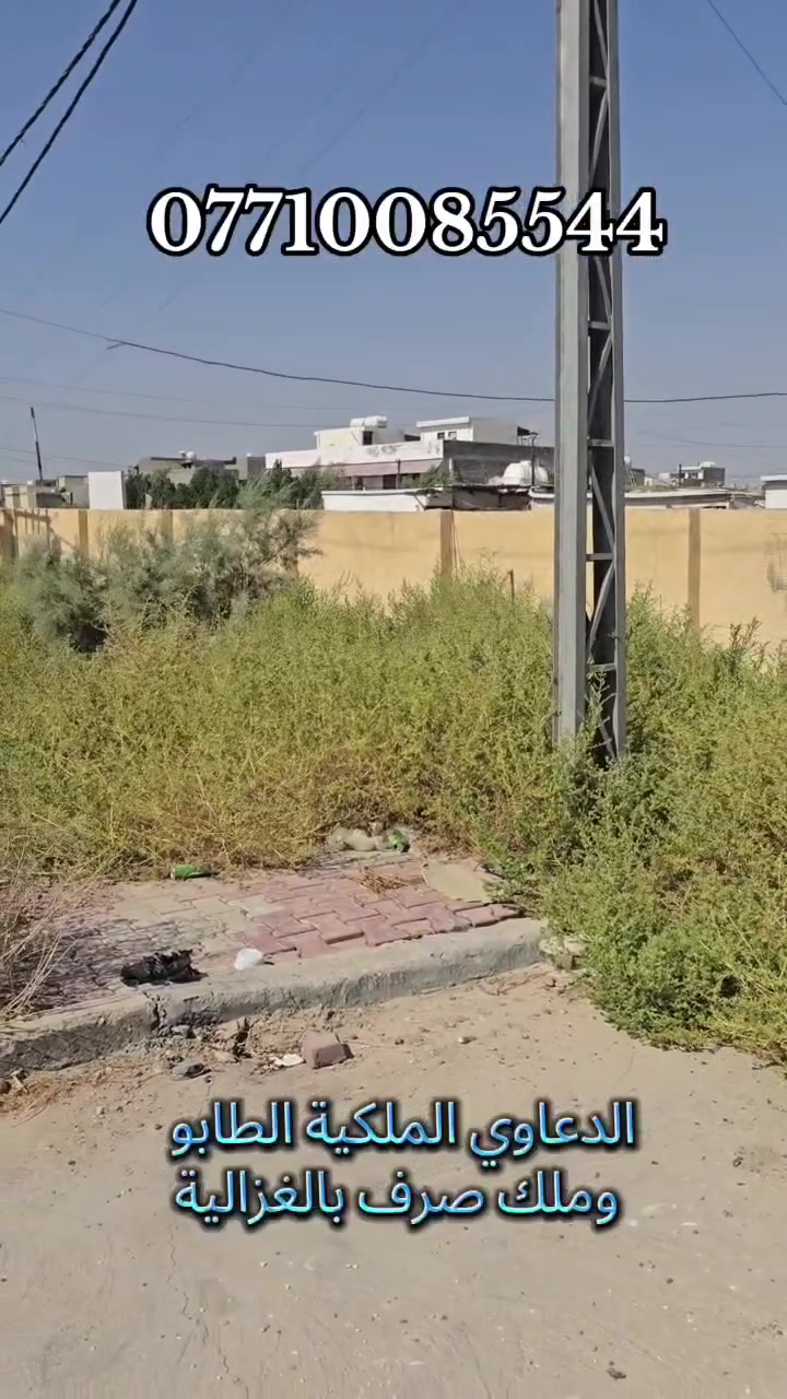 لا توجد تفاصيل
