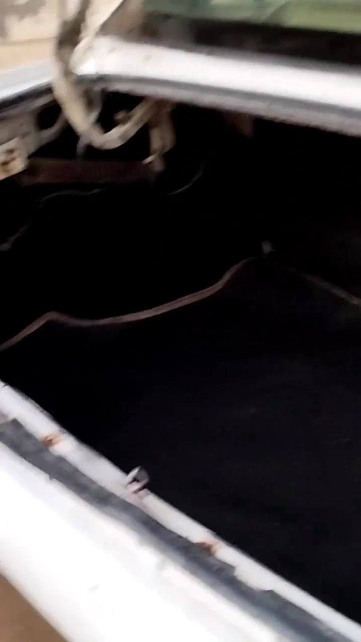سلام عليكم طيبة للبيع السيارة بيه لاستيك ولف طابوكه جديده مشط جديد باتري جديد دبلات خلفيه جدد منضومه بريك جديده ضفيره كامله من لطول لطول جديده ترايك وين مايعجبك السياره يرادله ترتيبات جدآ بصيطه بيع او مراوس حسب القناعه وبيه مجال حته لو انطي فرق السعر 22 وبيه مجال لطيبين مكاني ديوانية الاستفسار ***********
