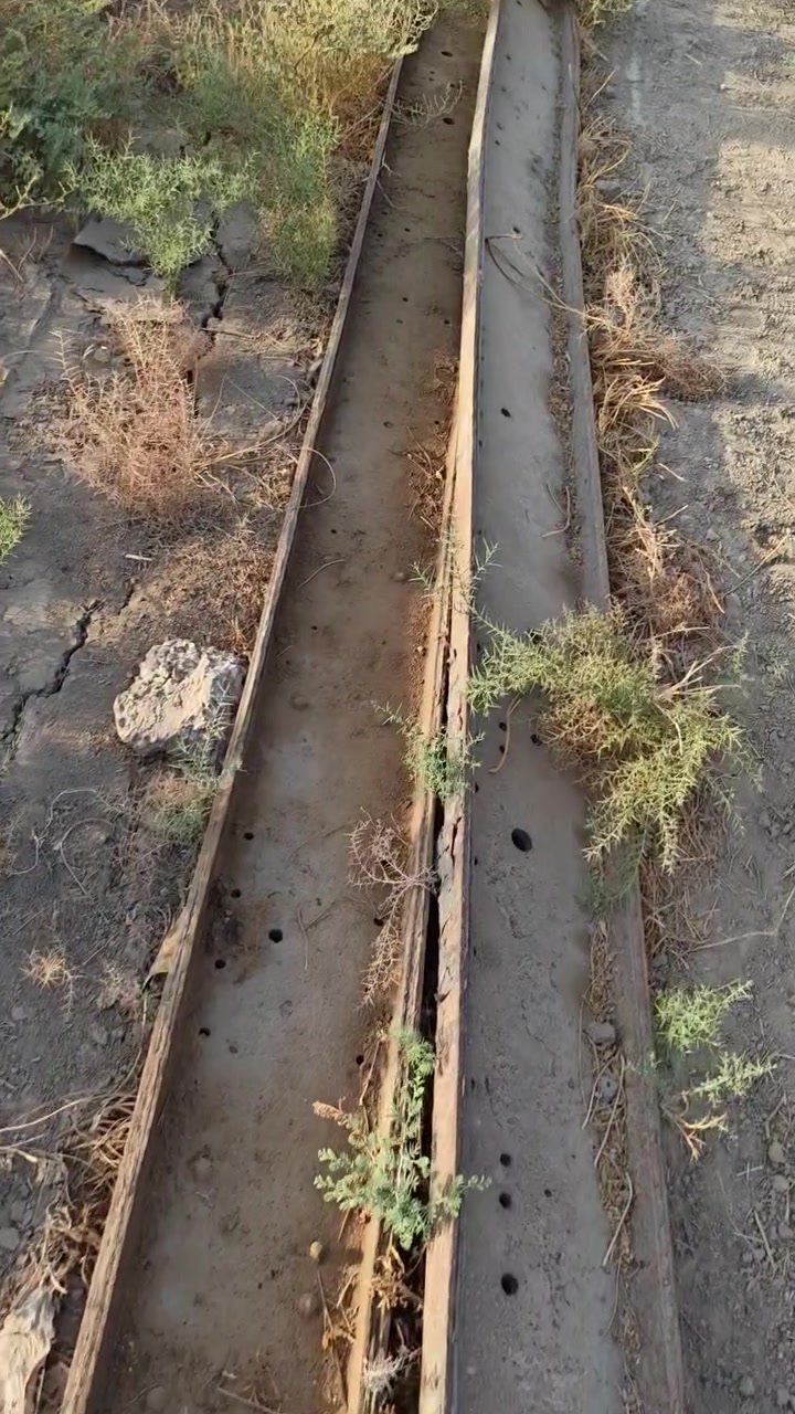 شاصي • اقجم