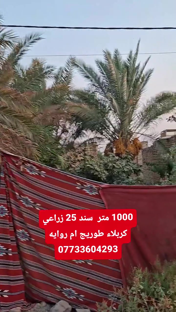 1000 الف متر  سند 25 زراعي 
خدمات كهرباء طوارئ شارع تبليط 
كربلاء طوريج ام روايه  تحويل مباشر 
لستفسار ***********
