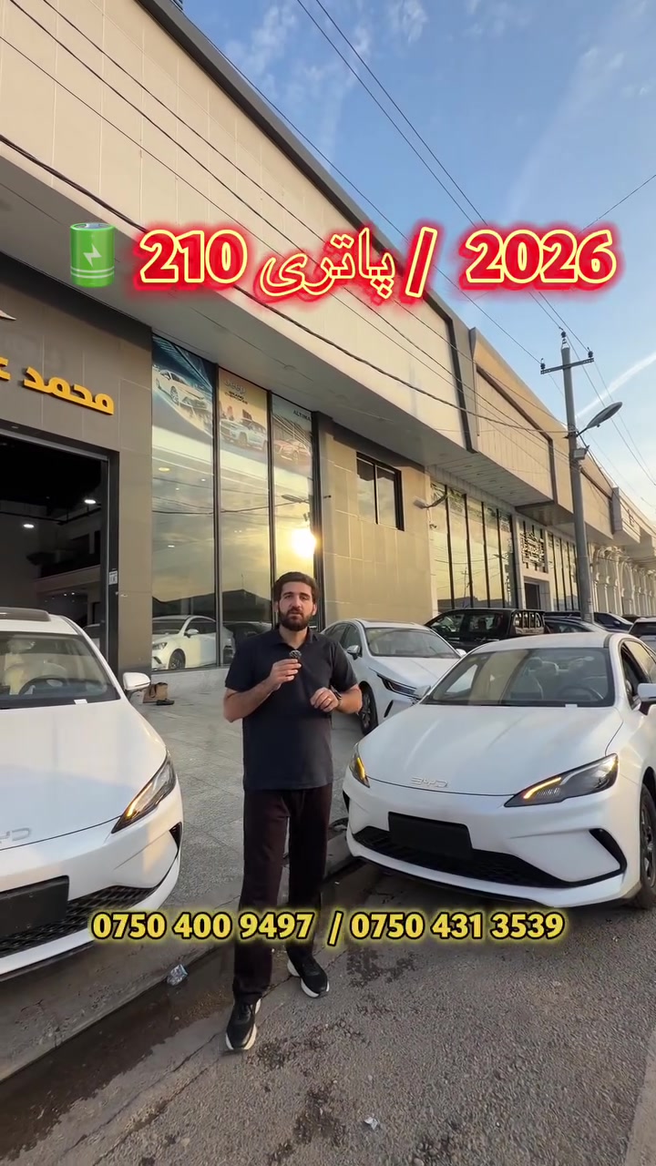 يوسف DN • شركة علي محمود • ٢٠٢٦
