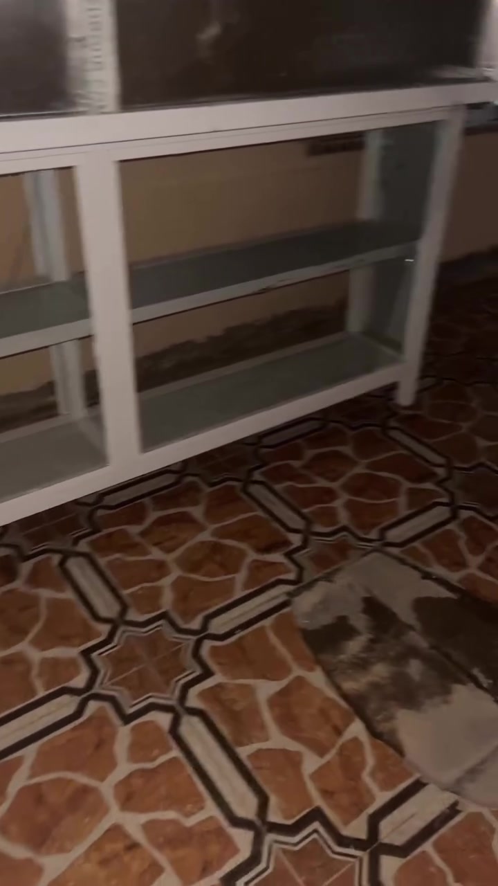 رفوف للبيع مال محلات سعرها مناسب ونظيفة
للتواصل 
***********
