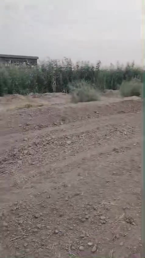أرض زراعية • ٤ دونم • الحلة مركز المدينة