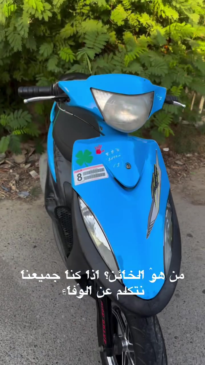 ماكس عدلة • كفالة • شغالة