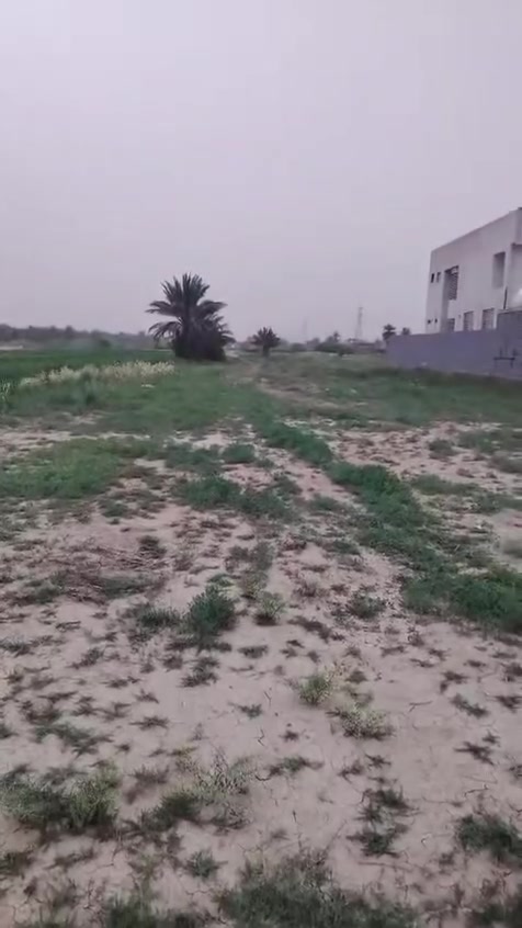 يوجد الدينا دونمين على طويق طوريج كربلاء قريب  سيطرات الإبراهيمية كيلو متر تبعد عن شارع العام 400 متر سند  25  واجهة الأرض 21 م 
‭***********
