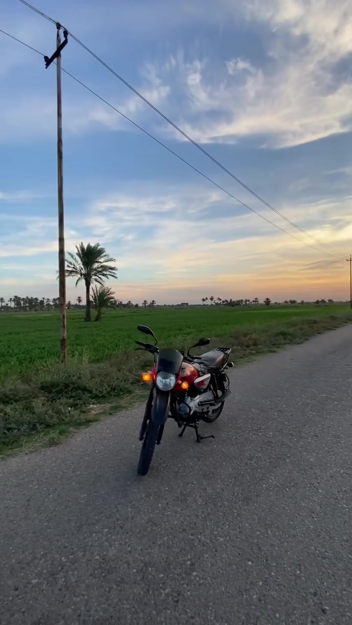 بوكسر • ٢٠٢٠ • دلفري