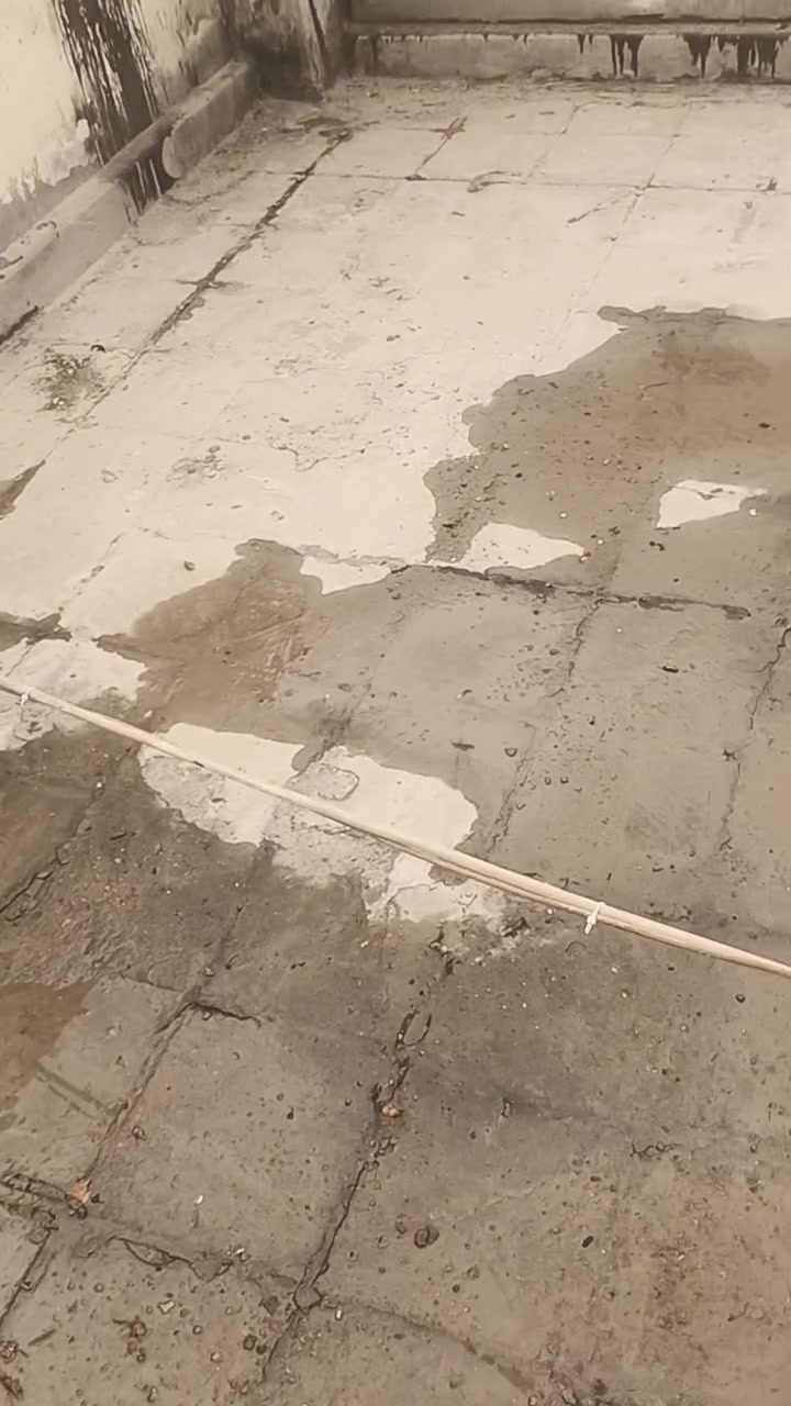 ماستك • روف كوت • قبل وبعد