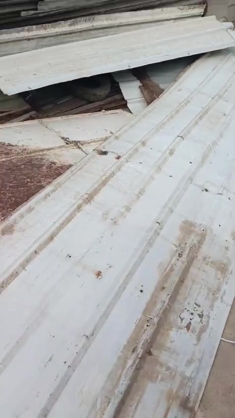 جينكو • ٣م عدد ٨ • ٥م عدد ١