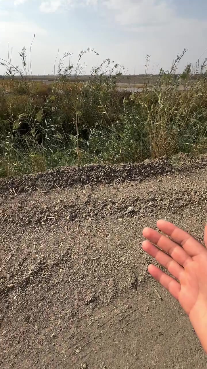 ٥ دونم • طابو زراعي • سند ٢٥