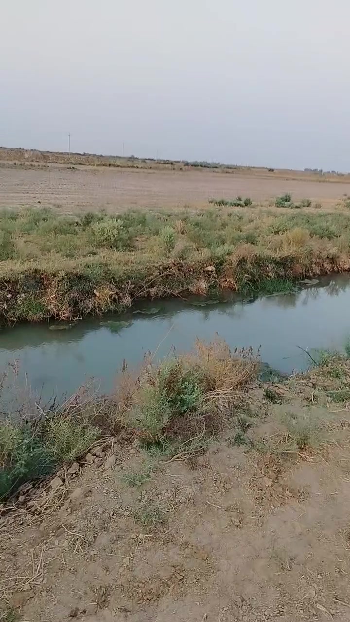 كاع ٨٠دونم عقد ١١٧ جاهزه ماي كهرباء ع شط تصلح سكن وزراعه او بحيرات العنوان قضاء كميت لاستفسار تصال ع رقم ***********او وتساب
