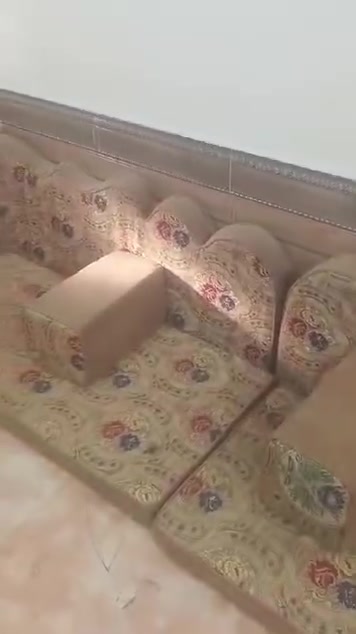 ديوان • ١٢م • الديوانية