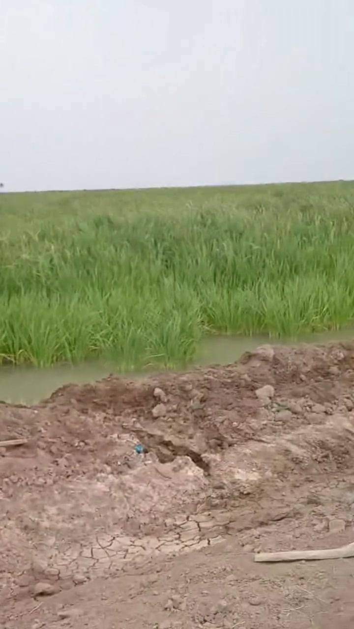 100 دونم طابو ملك صرف بأسمنه تحويل مباشر سعر مناسب محافظة ديالى باقي تفاصيل خاص او اتصال رقم ***********
