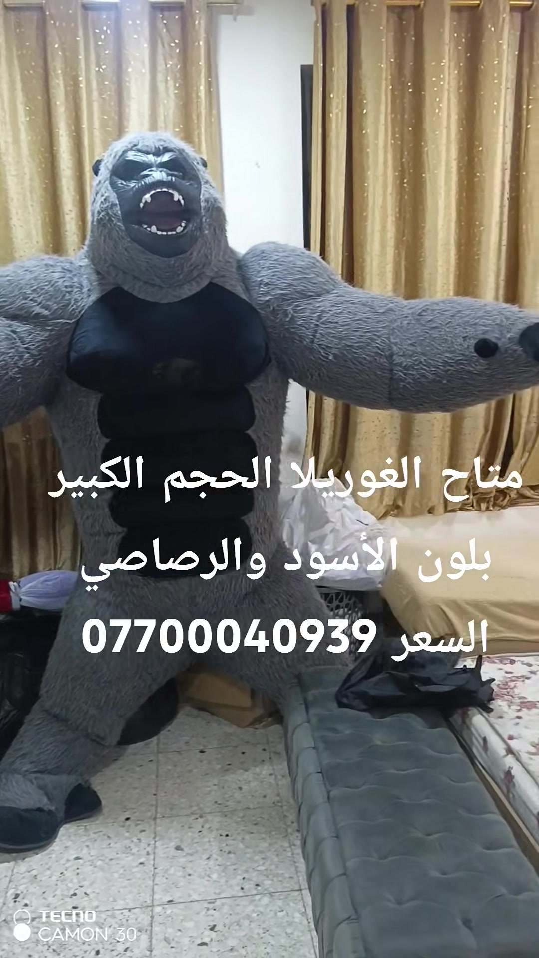 غوريلا • حجم كبير • واتساب