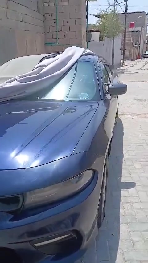 فول مواصفات • وارد كندي • ٢٠١٧