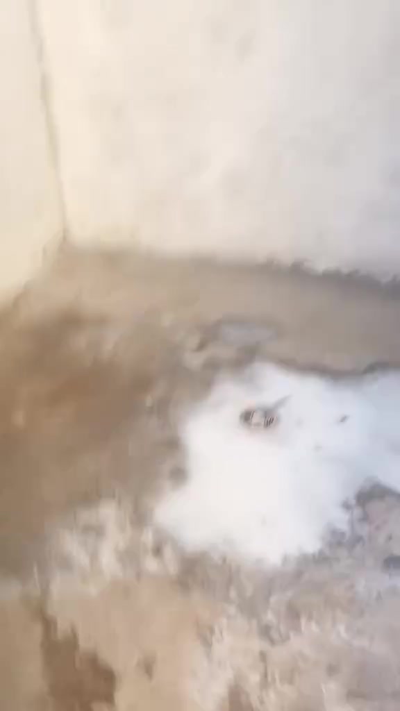 دار للايجار قطاع السادس ***********.    ***********

