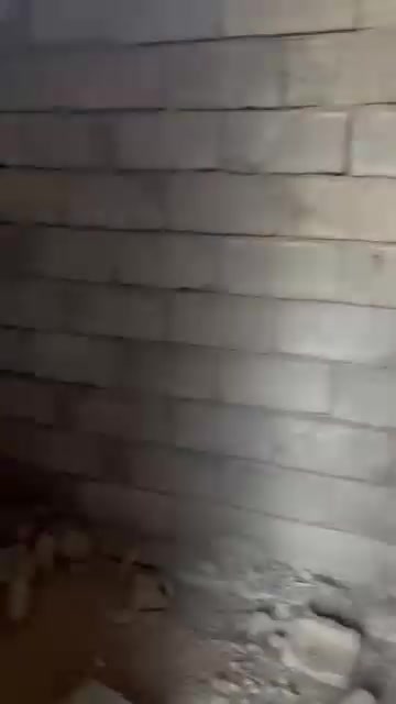 مزرعة قيد الأنشاء للبيع في منطقة الشهابي خلف مستوصف طبي الشهابي المساحة دونمين
تحتوي على بيت هيكل متكون من غرفتين وحمامات وصالة ومطبخ وجلسة معزولة وحمامات خارجية وتحتوي على باربيكيو للشوي كهرباء واصل وماء اساله وتحتوي على بير للسقي
للأستفسار التواصل عبر الرقم ***********
