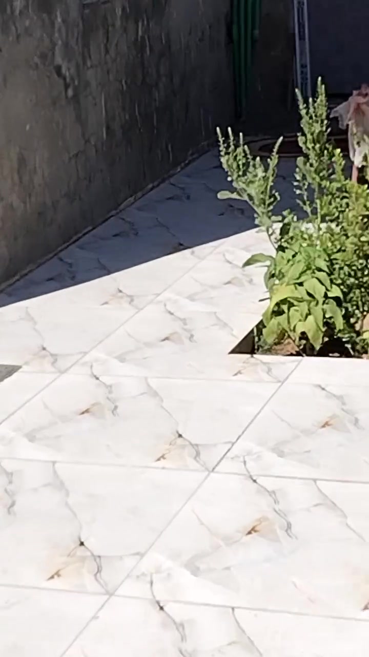 ٢٢٠م • غرفتين • مشمول طابو