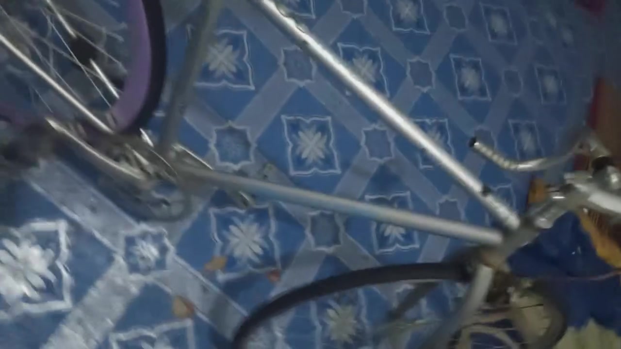 سباق • حجم ٢٨ • نقص زنجيل