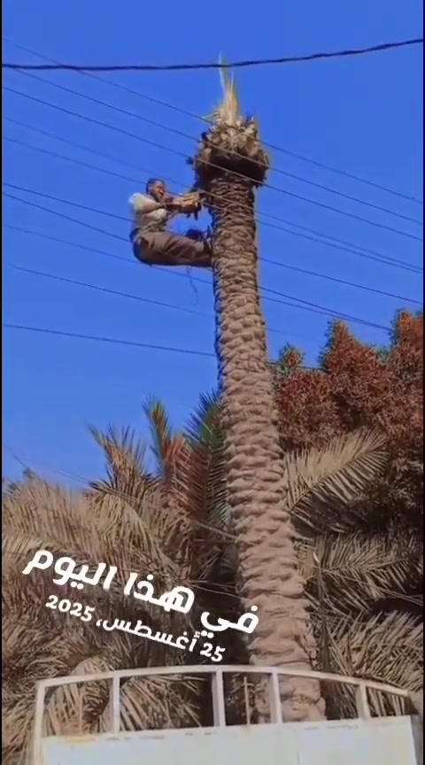 للسفسار اتصل على رقم تالي *********** أو ***********
