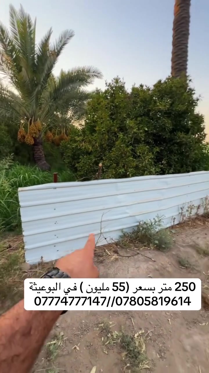 🌿 للبيع | فرصة مميزة في البوعيثة 🌿

📍 الموقع: البوعيثة – مجاور نهر دجلة  
📐 المساحة: 250 متر

🌳 أرض مغروسة ومعتنى بها، تحتوي على جميع أنواع الحمضيات بالإضافة إلى بعض أنواع النخيل، بأجواء هادئة وموقع مميز قريب من نهر دجلة.

✨ مناسبة للسكن والاستجمام أو الاستثمار، وموقعها يمنحها قيمة مميزة لعشاق الطبيعة والبساتين.

📞 للاستفسار والتفاصيل: على الخاص
🔥 فرصة مميزة لأصحاب الذوق والمواقع النهرية
***********
***********
 #الحمدالله  #استثمار #العراق  #بغداد  #عقارات
