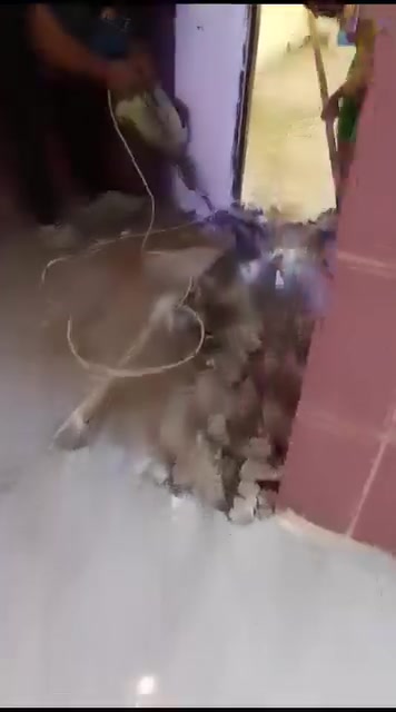 @تفليش بيوت والمباني قطع البيوت المشتركه وقلع الكاشي تفليش السقوف والجدران وحفر الصحطات باسعار مناسبه ***********
