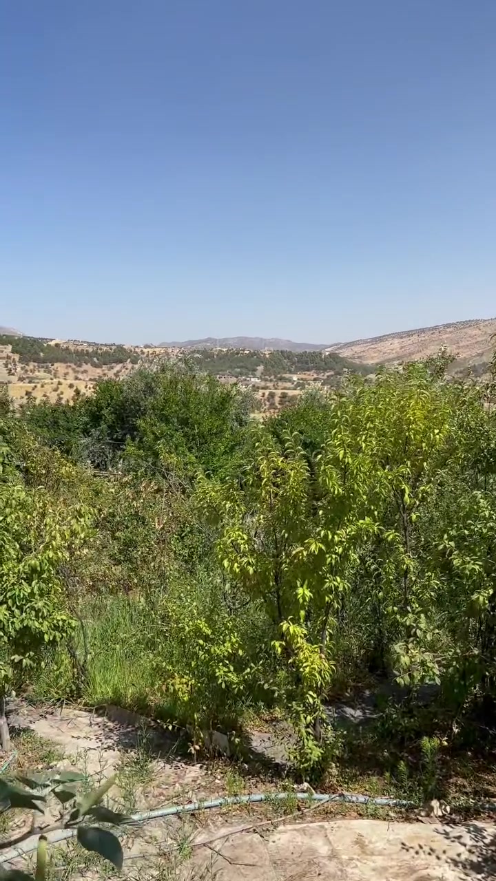 مزارع للايجار في بابلو
***********
