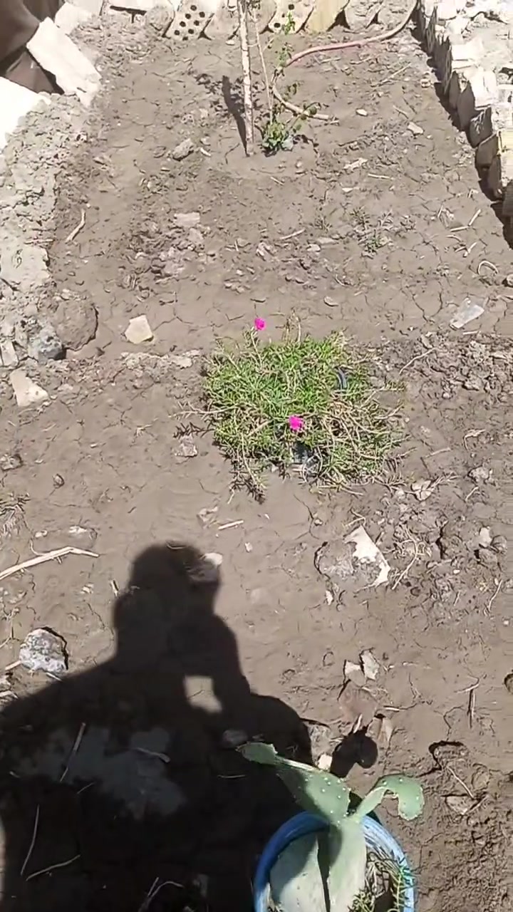 شارع السياحي شارع الزوار  قريب على فلكه الملح كوفه عباسيه  مسافه كيلي وين للبيع. هيكل. 100 متره سعره 7 مليون فقط سند 35 عثمانيه بناء جديد صاله شهرين🏠 هذا رقمي اتصال على الواتساب موجود ***********،👇
