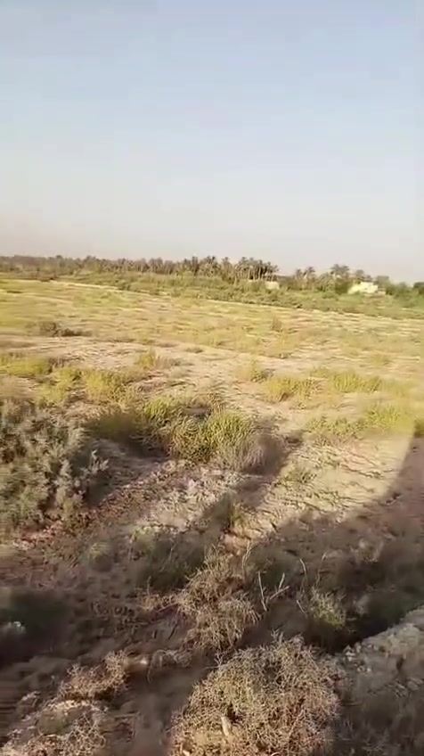 ٤٠دونم • طابو زراعي • ٨٠٠م شارع كربلاء