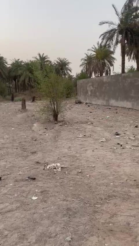البصرة الحوطة • ٤١٤م • طابو صرف