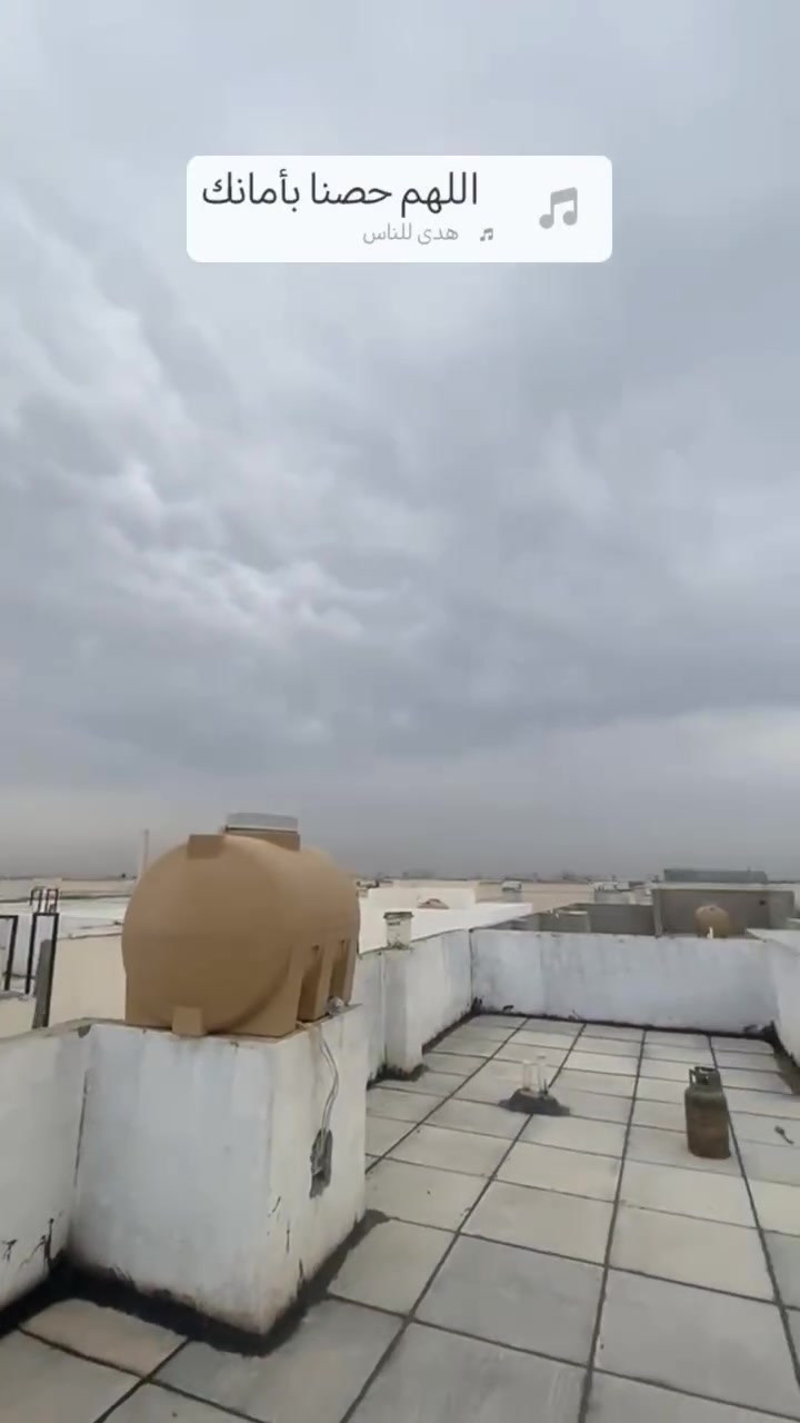 الماستك • قلع وإعادة • زفت