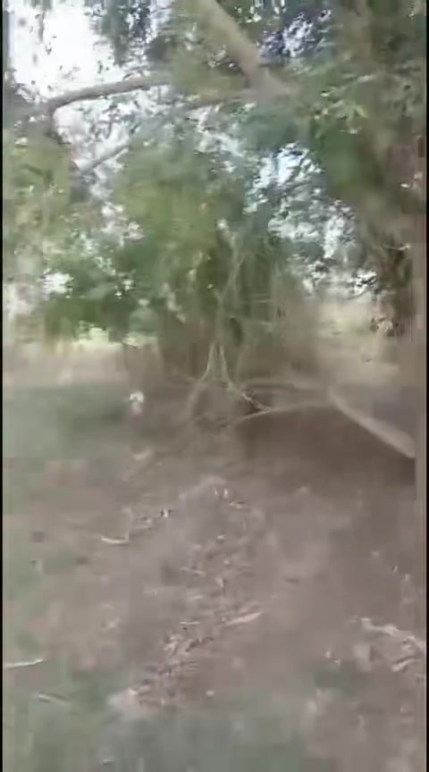 � مزرعة للبيع ! 🌳
     تحويل مباشر 📝

للبيع مزرعة بمساحة 3 دوانم
 في منطقة الدبسة،
 موقع مميز. 
وقريب من محطة وقود السلوم.

المواصفات:

 • واجهة 150م × نزال 50م
 • تحتوي على دار سكني🏠
   + حوض سمك 🐟
 • بئر ماء + إسالة ماء. 

(((((((  توضيح 👇))))))) 
 •موقع مميز جدا وقريب من محطة وقود السلوم وبنفس الوقت قريب من مفترق 5 طرق مسافه 500 متر فقط عن كل طريق
 1_ طريق الدبسه
2 _طريق الجسر الجديد جامعة تكريت
3 _طريق العلم الجوه
4 _طريق البو هيازع 
5_طريق السده 
 مسيجة بالكامل

للاستفسار:
📞 ***********
