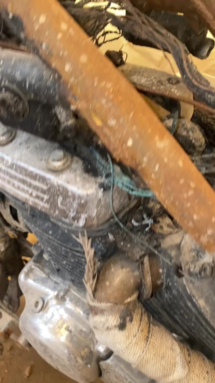 سلام عليكم
دراجة هارلي سازوكي مارودر 400cc موديل 2002
الدراجة محتركة واكو بيها شغلات صاحية مثل التايرات والويالة والمحرك والراديتر والدبلات الخلفية والدبلات الامامية يحتاجلهن تجفيت والمروحة مال راديتر وهواي شغلات ما لايحها ضرر والتفيده يراسلني على الخاص او يتصل على الارقام (***********) او
(***********)
مكاني صلاح الدين تكريت
السعر (500) وبيها مجال بسيط

