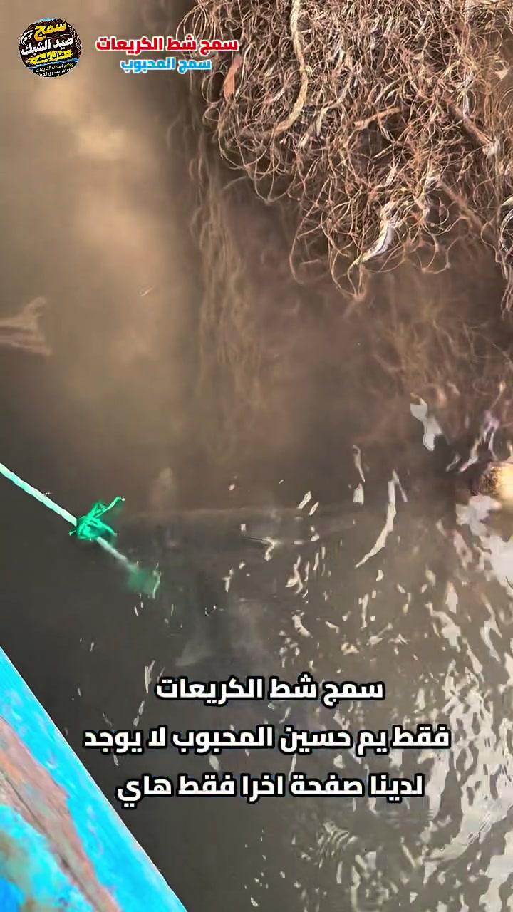 صيد سمك • شط الكريعات • يم المحبوب