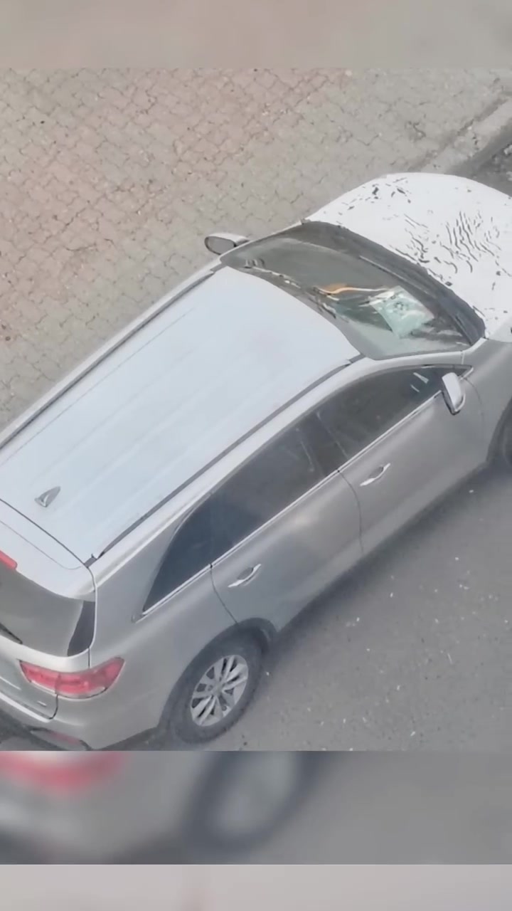 السلام عليكم ورحمة كيا سورنتو ١٧ امريكي سلفر فول مواصفات جديده السياره ماشيه ٩٣ ميل فول تشغيل عن بعد رادارات كامره دواره شاشه جبيره فور ويل كشنات جلد بصمه جي دي اي ٤سلندر سعر ١٧ ***********
